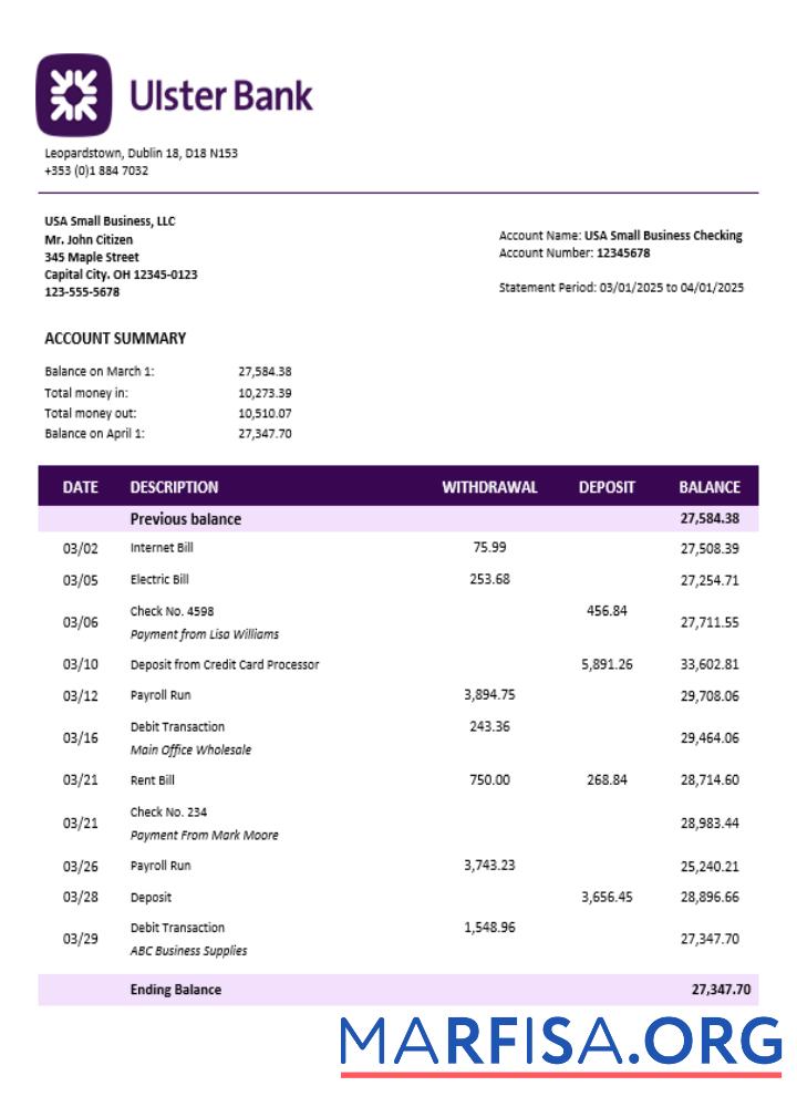 Blank Ulster organization checking account statement Word and PDF format template
